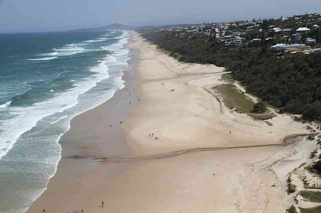 surfer paradise