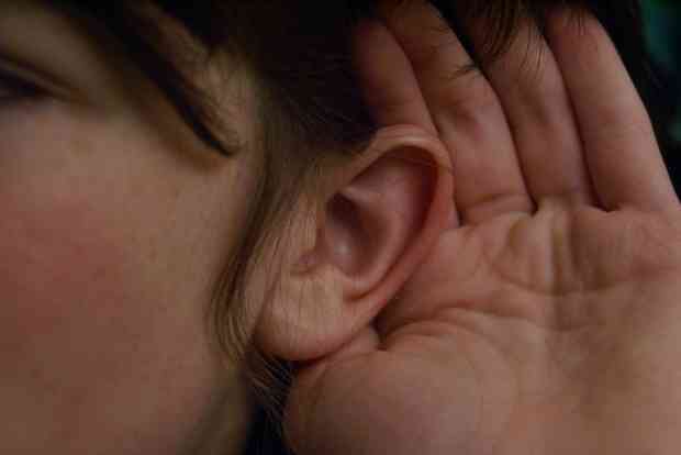 Girl's Ear