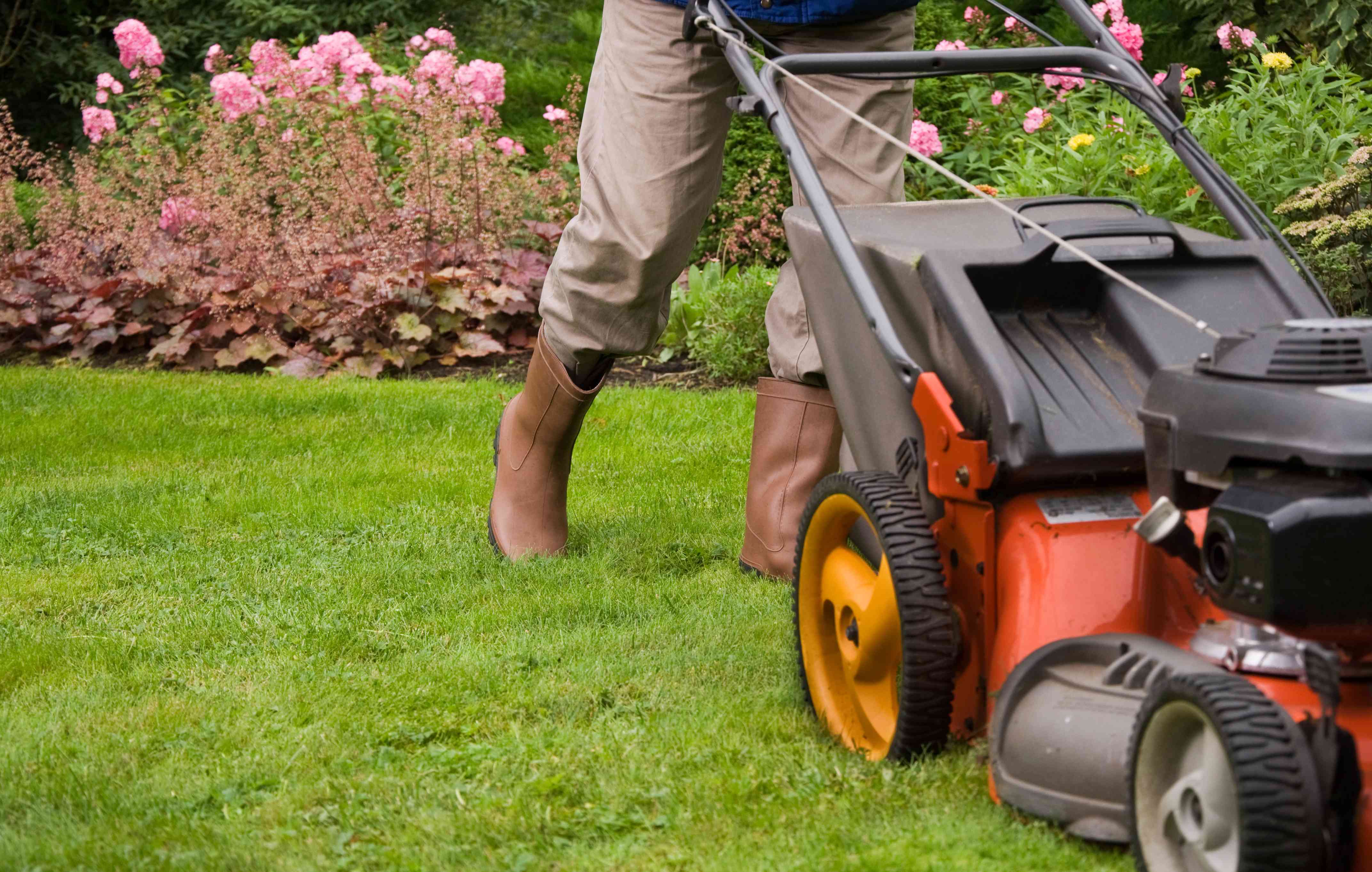 Lawn Care in Minnesota