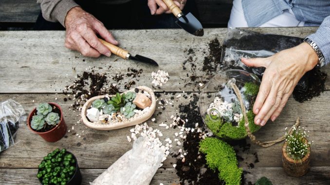 Couple making miniature plants