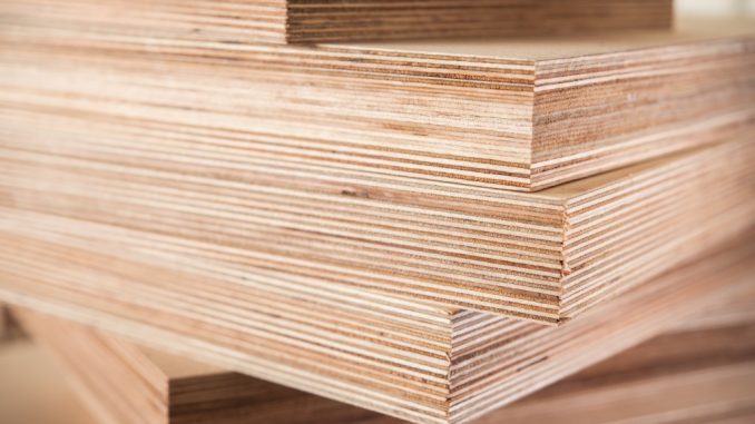 Stacks of plywood on display