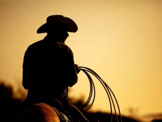 cowboy holding a rope