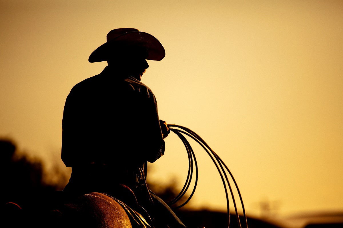 cowboy holding a rope
