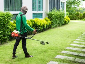 worker trimming the grass