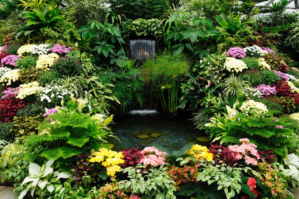Plants surrounding a fountain