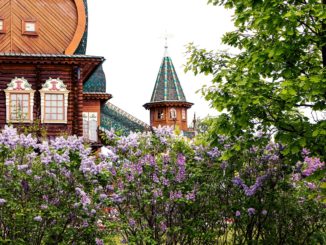 close shot of a home architecture surrounded by flowers and plants