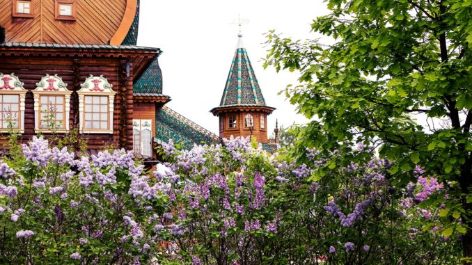 close shot of a home architecture surrounded by flowers and plants