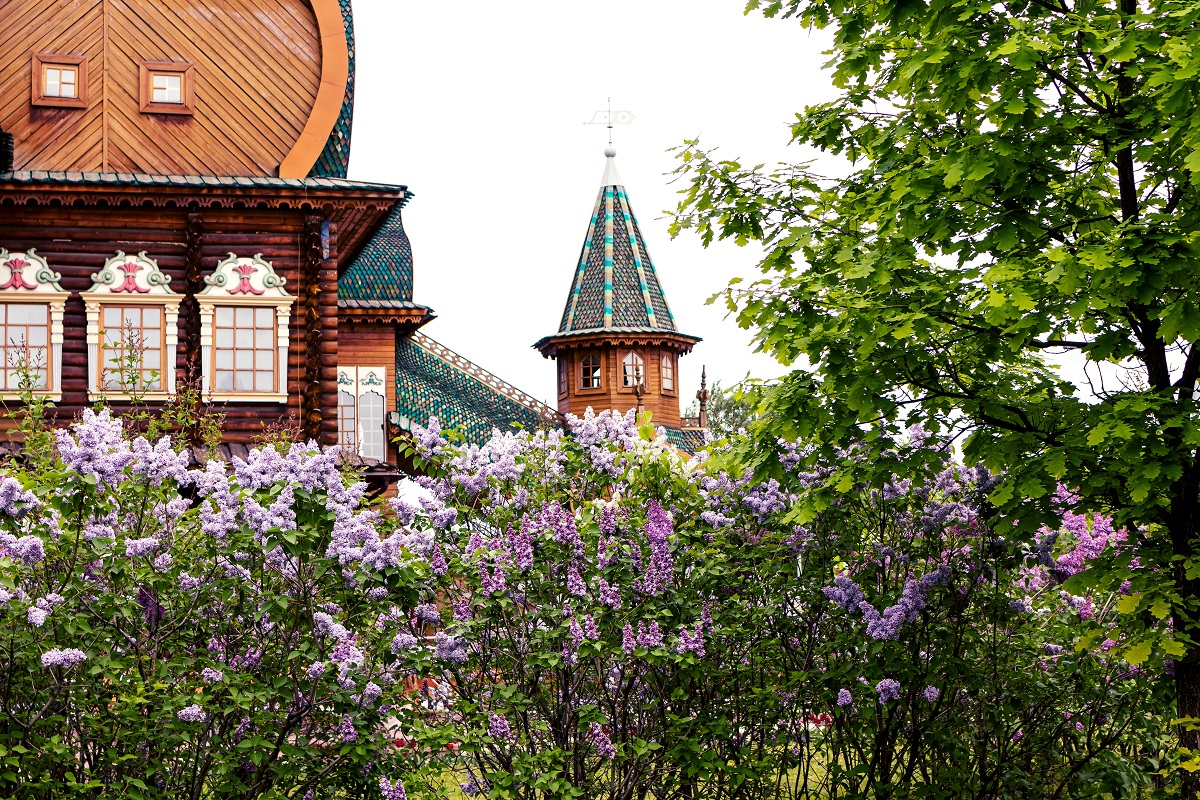 close shot of a home architecture surrounded by flowers and plants