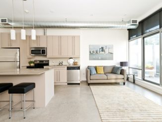 Kitchen and living room of loft apartment