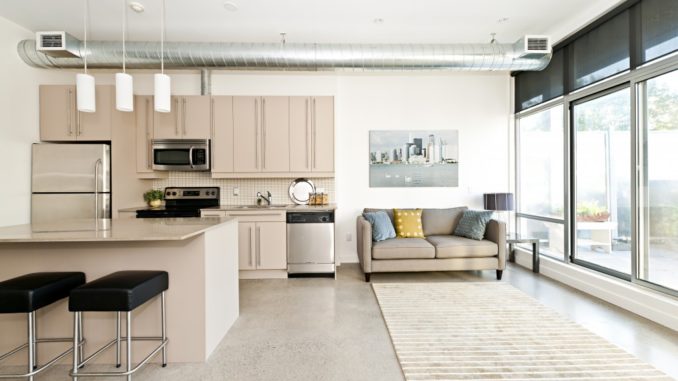 Kitchen and living room of loft apartment