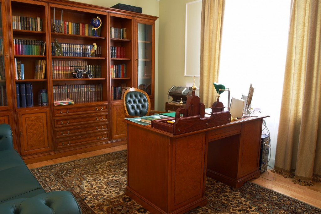 bookshelf in the study