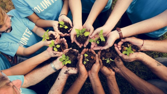 Volunteers planting