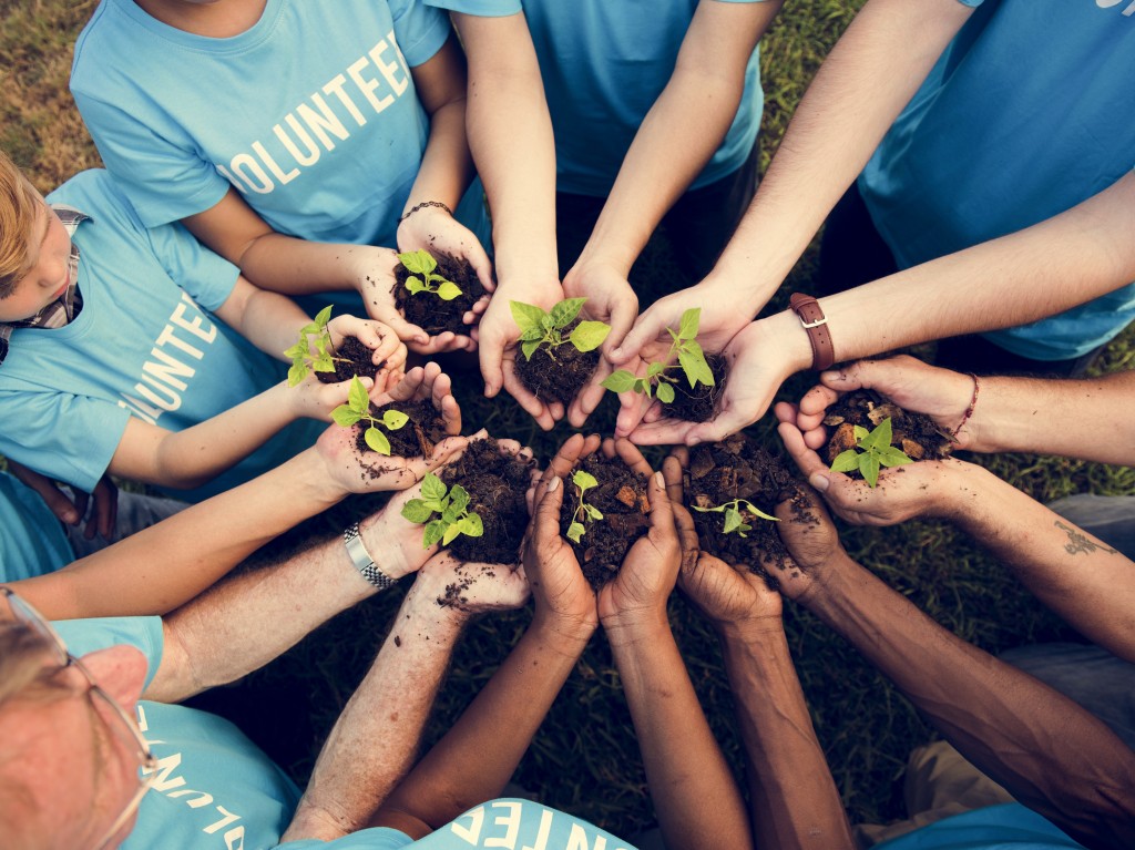 Volunteers planting