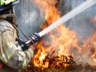 firefighter spraying water into forest fire