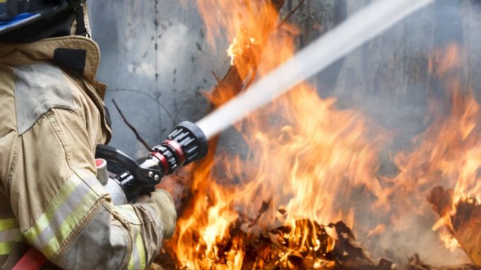 firefighter spraying water into forest fire