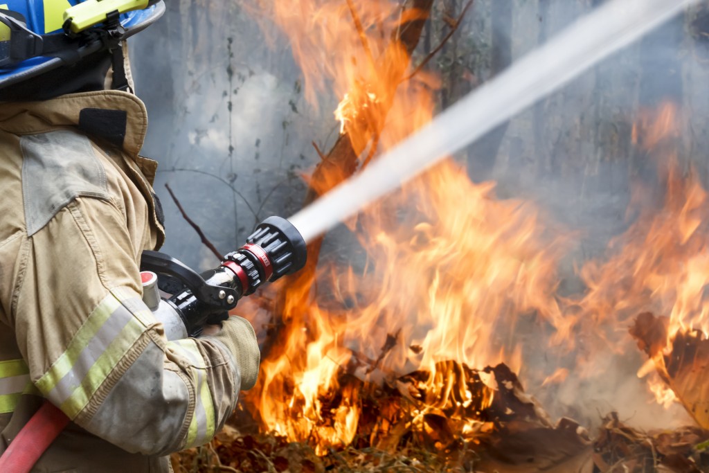 firefighter spraying water into forest fire