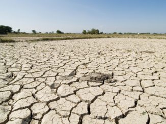 dried land