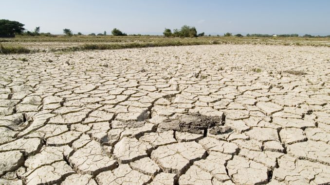 dried land