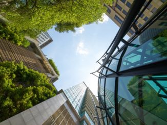 tall buildings and trees