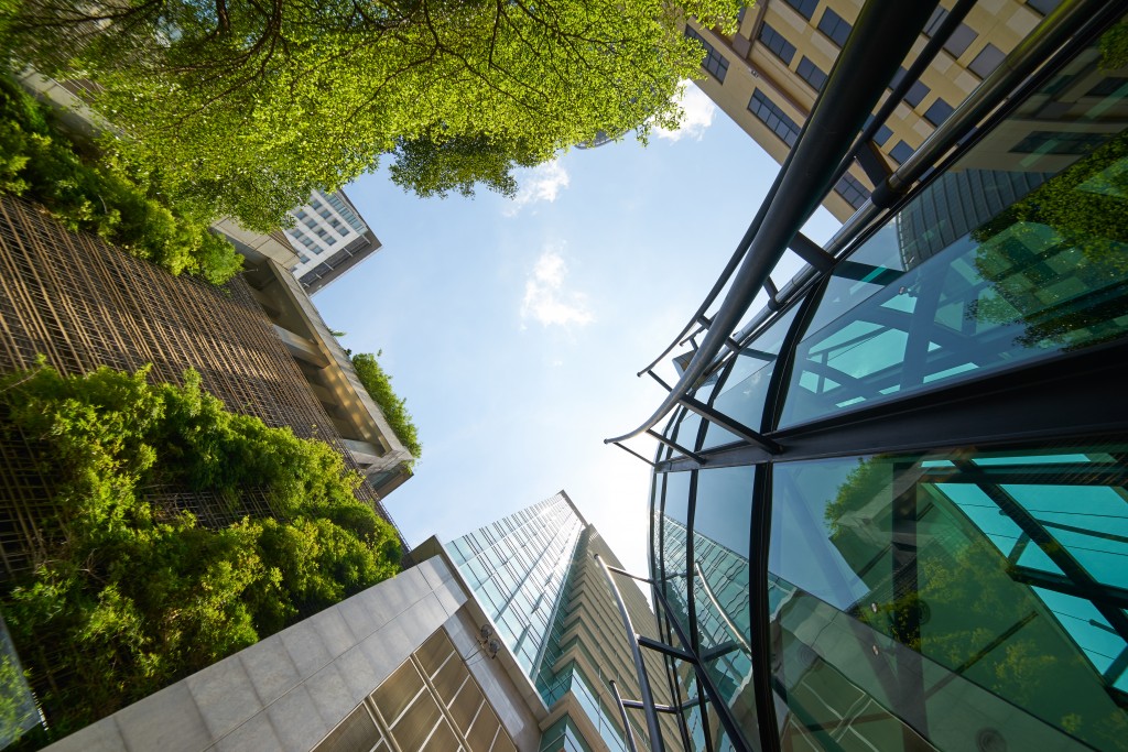 tall buildings and trees