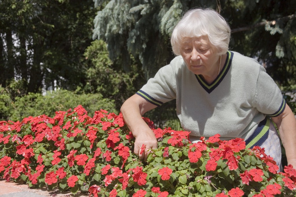 gardening