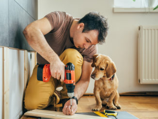 Man doing DIY work with his dog