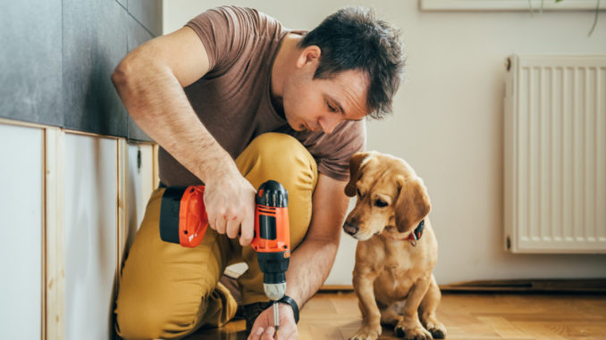 Man doing DIY work with his dog